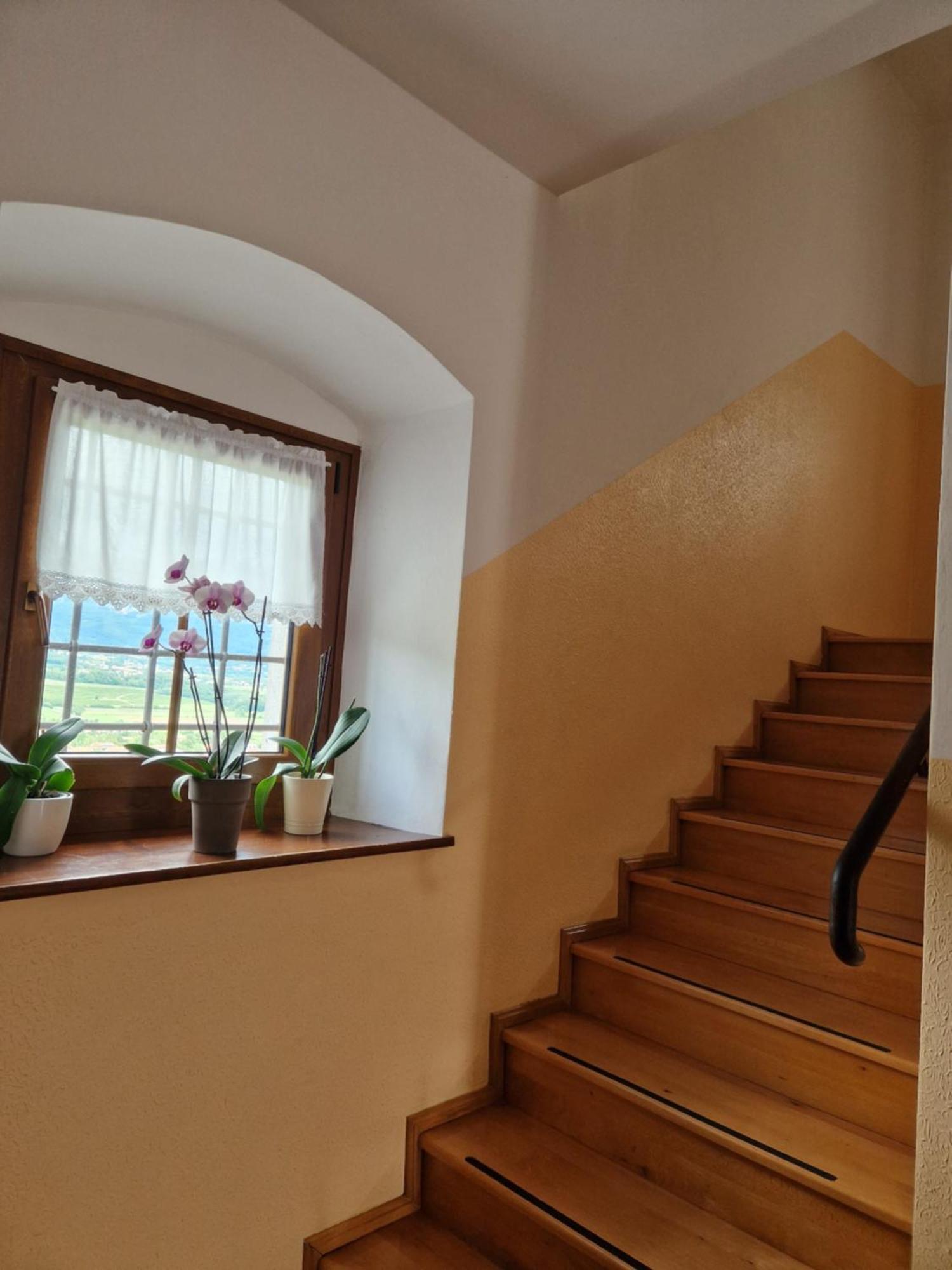 Apartma In Soba Vipavski Kriz Ajdovscina Luaran gambar